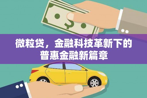 镇赉微粒贷，金融科技革新下的普惠金融新篇章