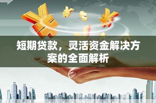 镇赉短期贷款，灵活资金解决方案的全面解析