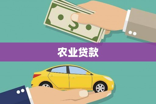 镇赉农业贷款