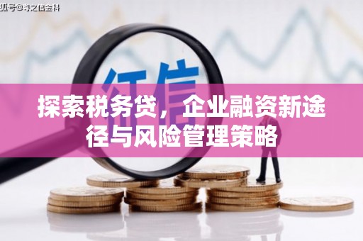 镇赉探索税务贷，企业融资新途径与风险管理策略