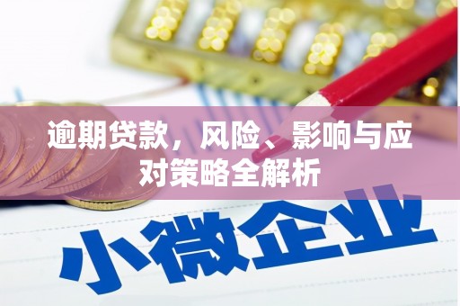 镇赉逾期贷款，风险、影响与应对策略全解析