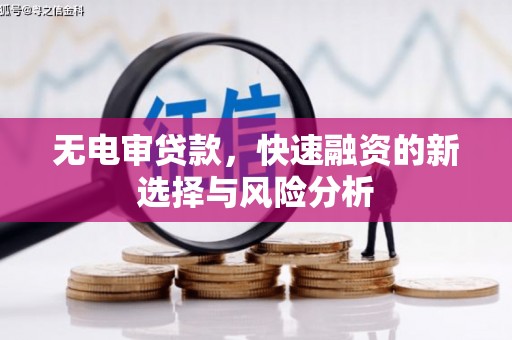 镇赉无电审贷款，快速融资的新选择与风险分析