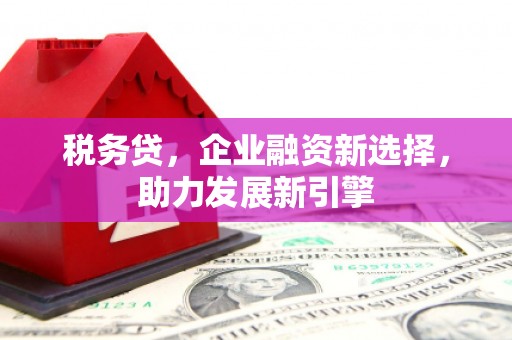 镇赉税务贷，企业融资新选择，助力发展新引擎