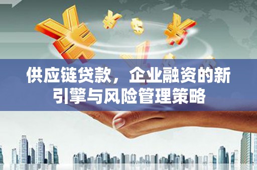 镇赉供应链贷款，企业融资的新引擎与风险管理策略