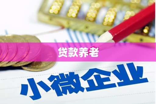 镇赉贷款养老