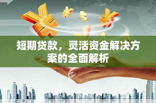 镇赉短期贷款，灵活资金解决方案的全面解析