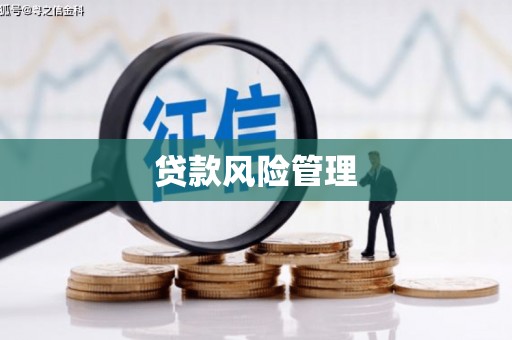 镇赉贷款风险管理