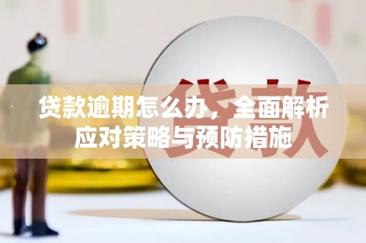 镇赉贷款逾期怎么办，全面解析应对策略与预防措施