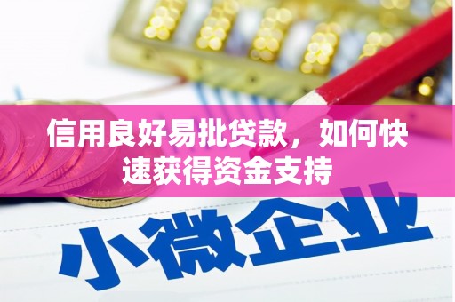 镇赉信用良好易批贷款，如何快速获得资金支持