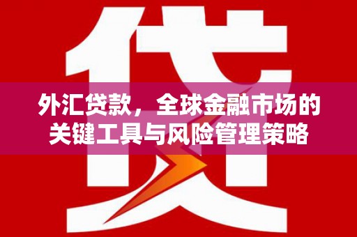 镇赉外汇贷款，全球金融市场的关键工具与风险管理策略