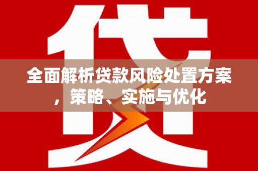 镇赉全面解析贷款风险处置方案，策略、实施与优化