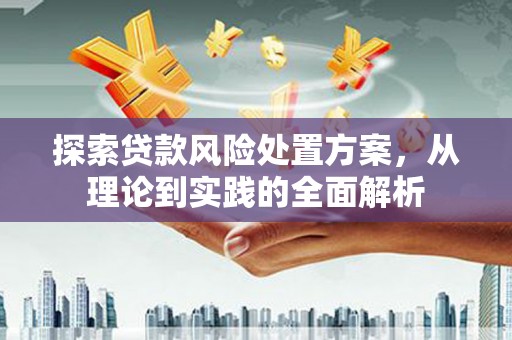 镇赉探索贷款风险处置方案，从理论到实践的全面解析