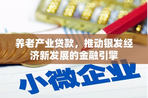 镇赉养老产业贷款，推动银发经济新发展的金融引擎