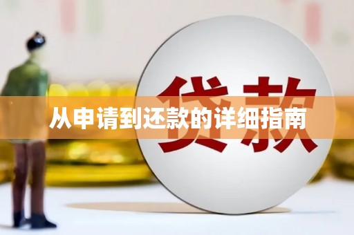 镇赉从申请到还款的详细指南