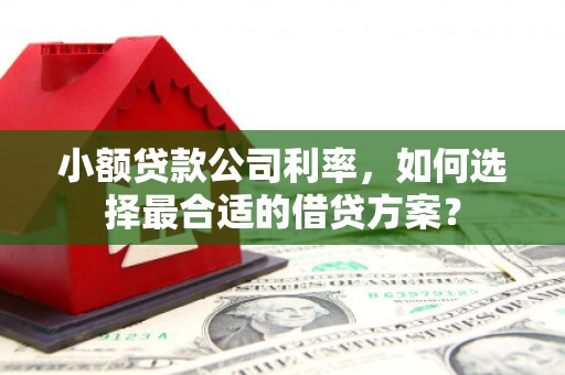 镇赉小额贷款公司利率，如何选择最合适的借贷方案？