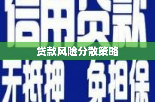 镇赉贷款风险分散策略