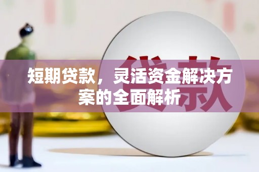 镇赉短期贷款，灵活资金解决方案的全面解析