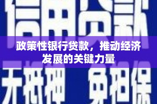 镇赉政策性银行贷款，推动经济发展的关键力量