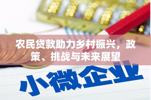 镇赉农民贷款助力乡村振兴，政策、挑战与未来展望