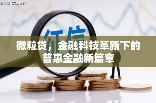镇赉微粒贷，金融科技革新下的普惠金融新篇章
