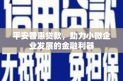 镇赉平安普惠贷款，助力小微企业发展的金融利器
