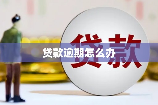 镇赉贷款逾期怎么办