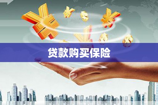 镇赉贷款购买保险