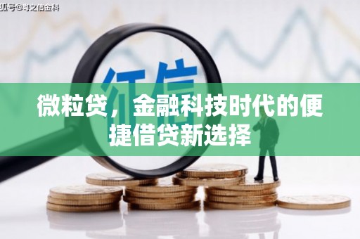 镇赉微粒贷，金融科技时代的便捷借贷新选择
