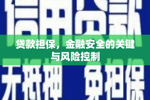 镇赉贷款担保，金融安全的关键与风险控制