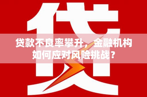 镇赉贷款不良率攀升，金融机构如何应对风险挑战？