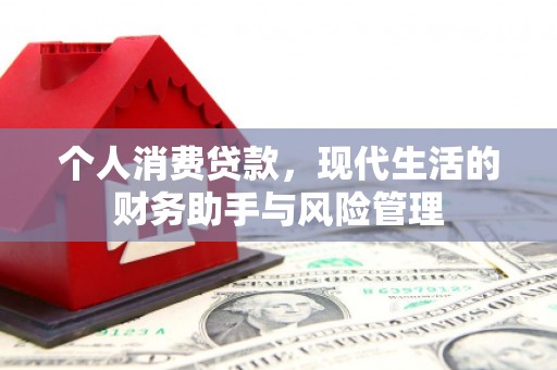 镇赉个人消费贷款，现代生活的财务助手与风险管理