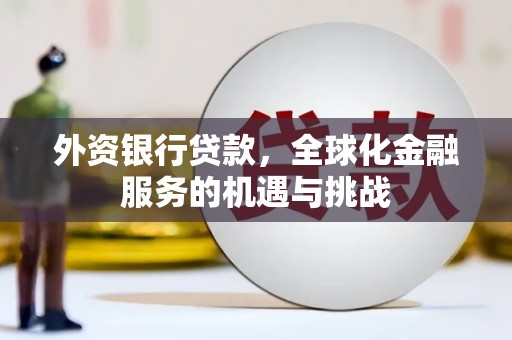 镇赉外资银行贷款，全球化金融服务的机遇与挑战