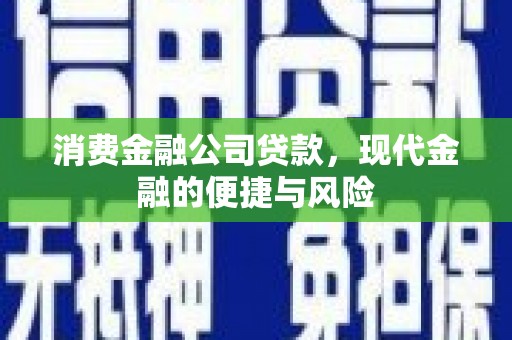 镇赉消费金融公司贷款，现代金融的便捷与风险