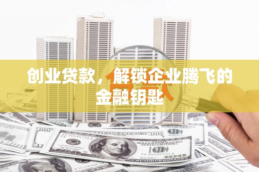 镇赉创业贷款，解锁企业腾飞的金融钥匙