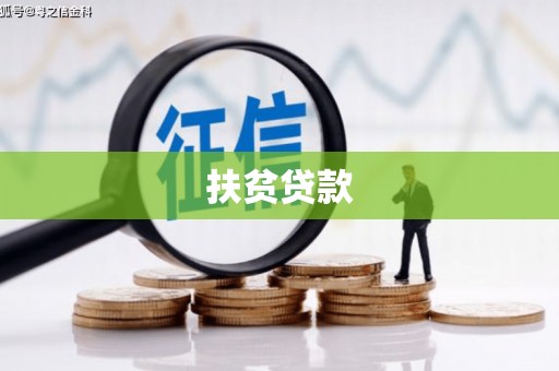 镇赉扶贫贷款