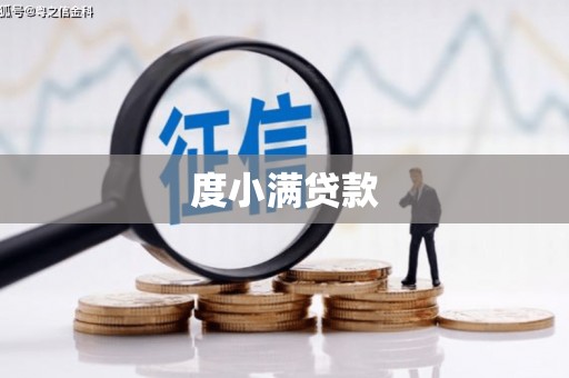 镇赉度小满贷款