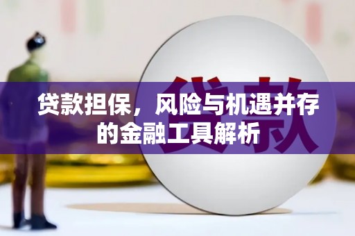 镇赉贷款担保，风险与机遇并存的金融工具解析