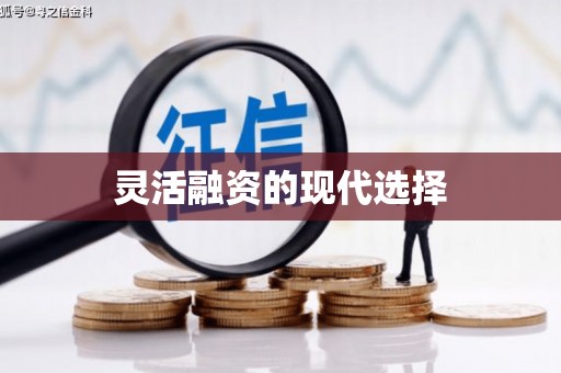 镇赉灵活融资的现代选择