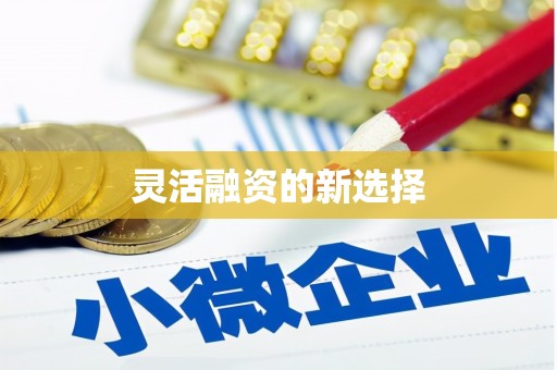 镇赉灵活融资的新选择