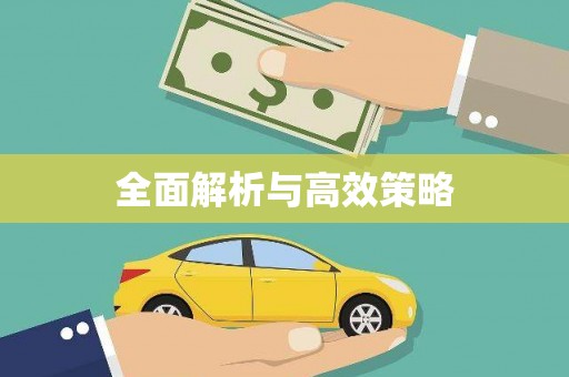 镇赉全面解析与高效策略