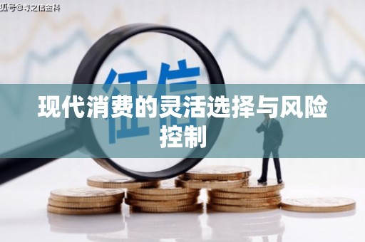 镇赉现代消费的灵活选择与风险控制
