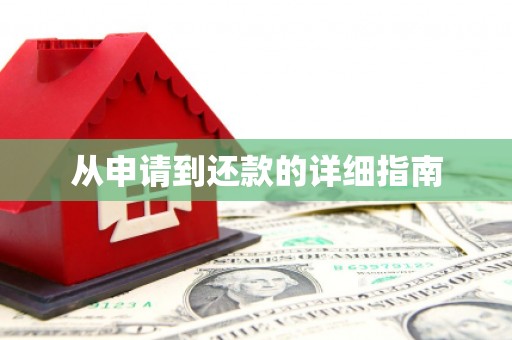 镇赉从申请到还款的详细指南