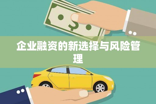 镇赉企业融资的新选择与风险管理