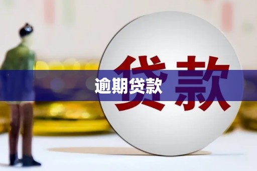 镇赉逾期贷款