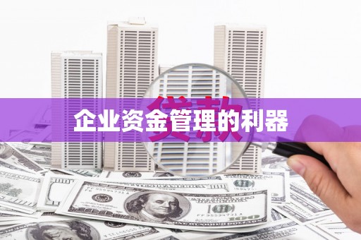 镇赉企业资金管理的利器