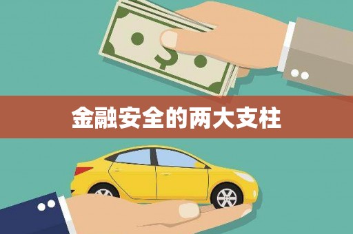 镇赉金融安全的两大支柱