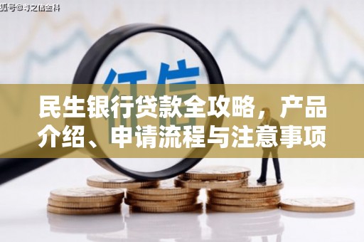 镇赉民生银行贷款全攻略，产品介绍、申请流程与注意事项